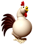 chicken