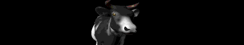 happy cow