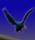 flying crow