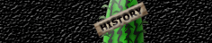 History